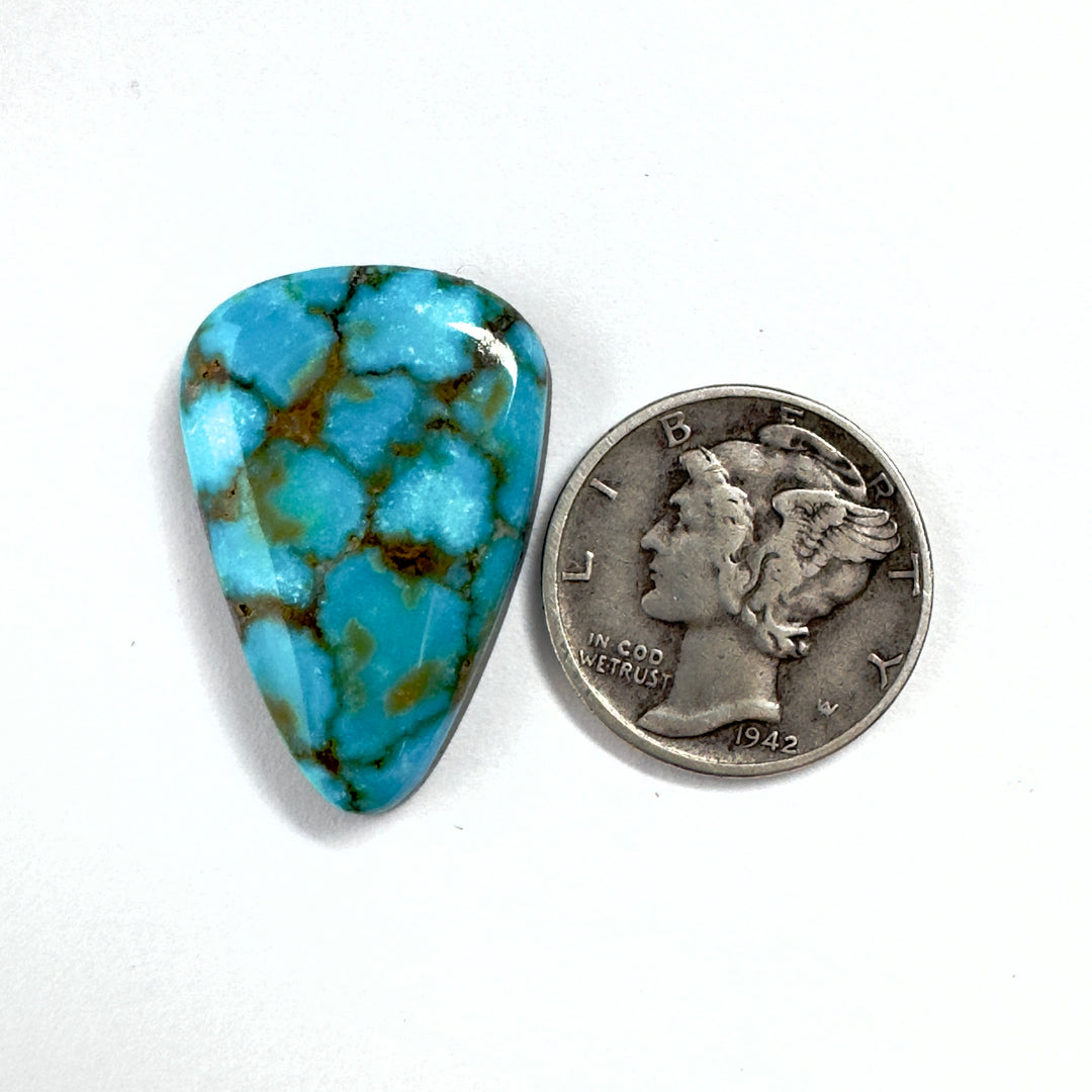 Turquoise Mountain Turquoise 15 carats