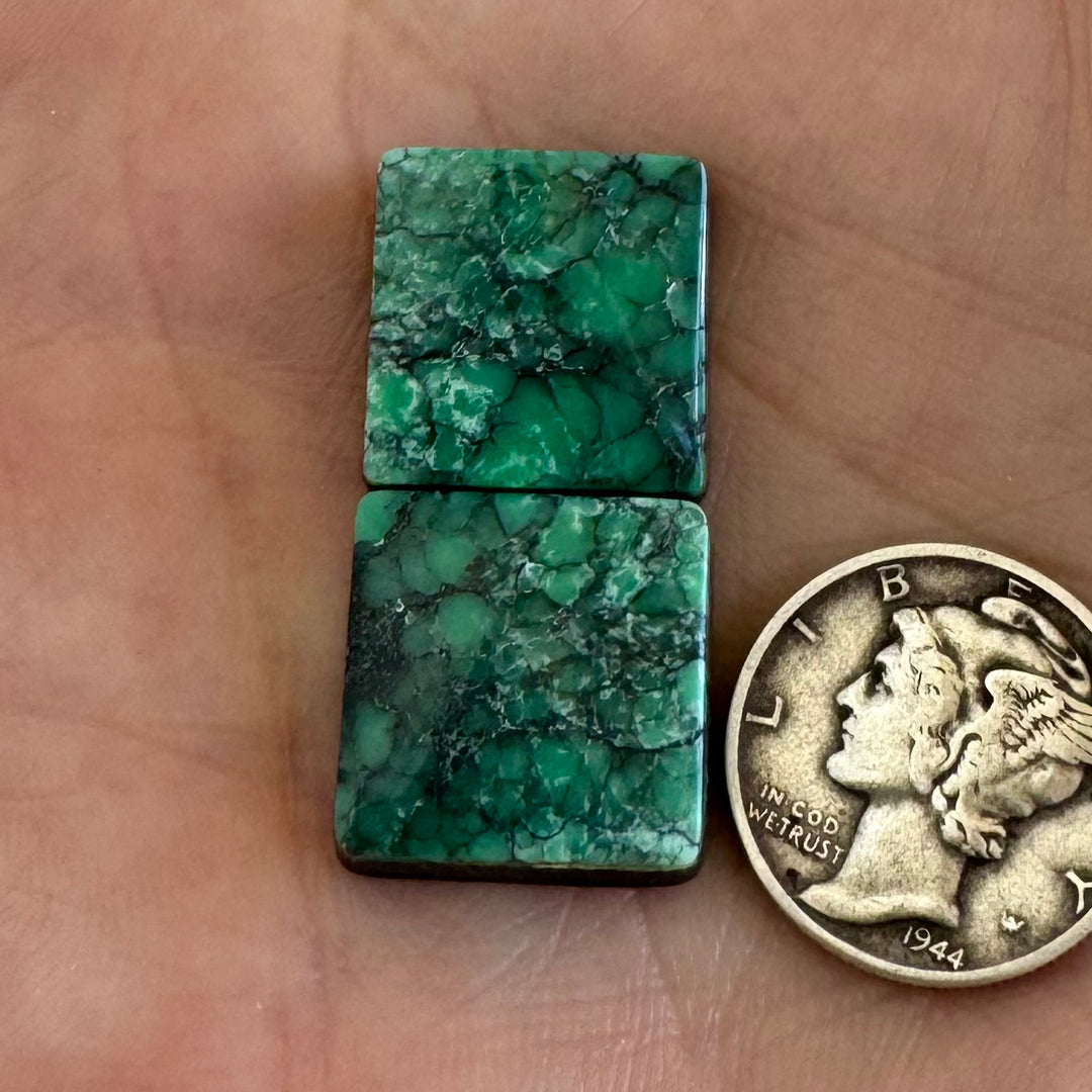 Black Bridge Variscite 23 Carats