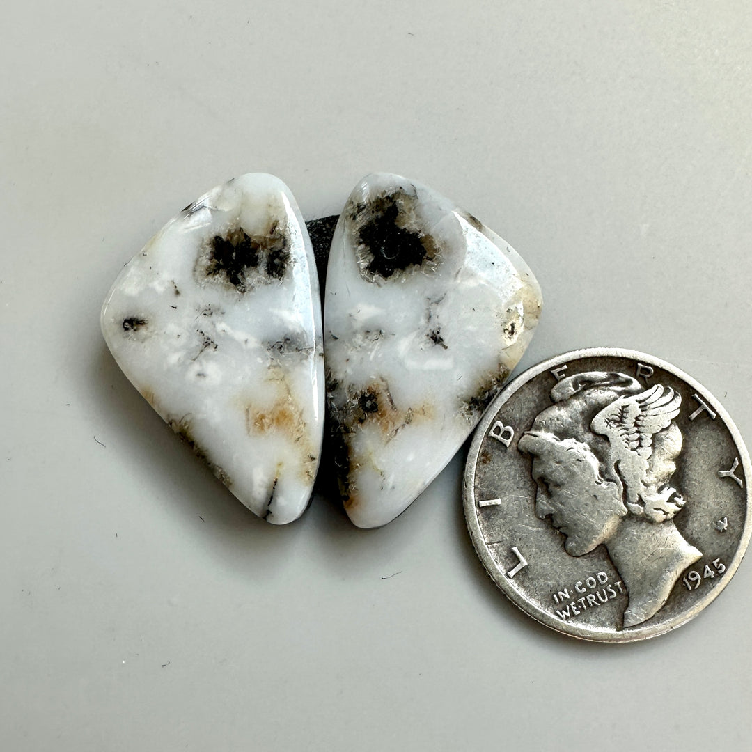 Natural White Buffalo