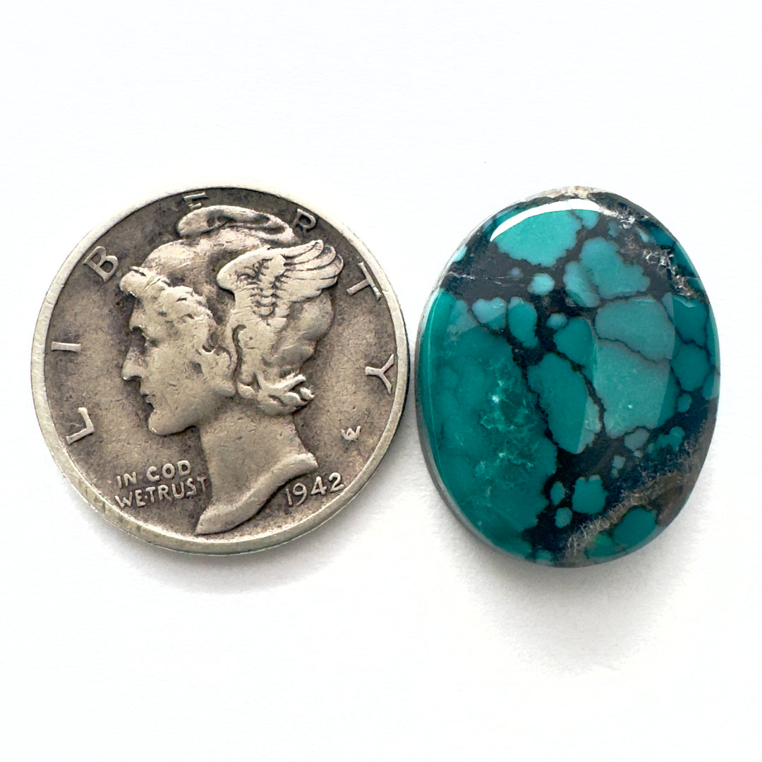 cloud mountain turquoise 9.5 carats