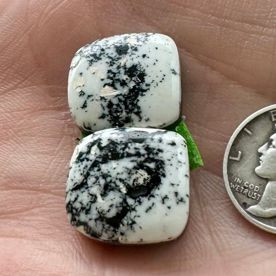 Natural White Buffalo 26.5 Carats