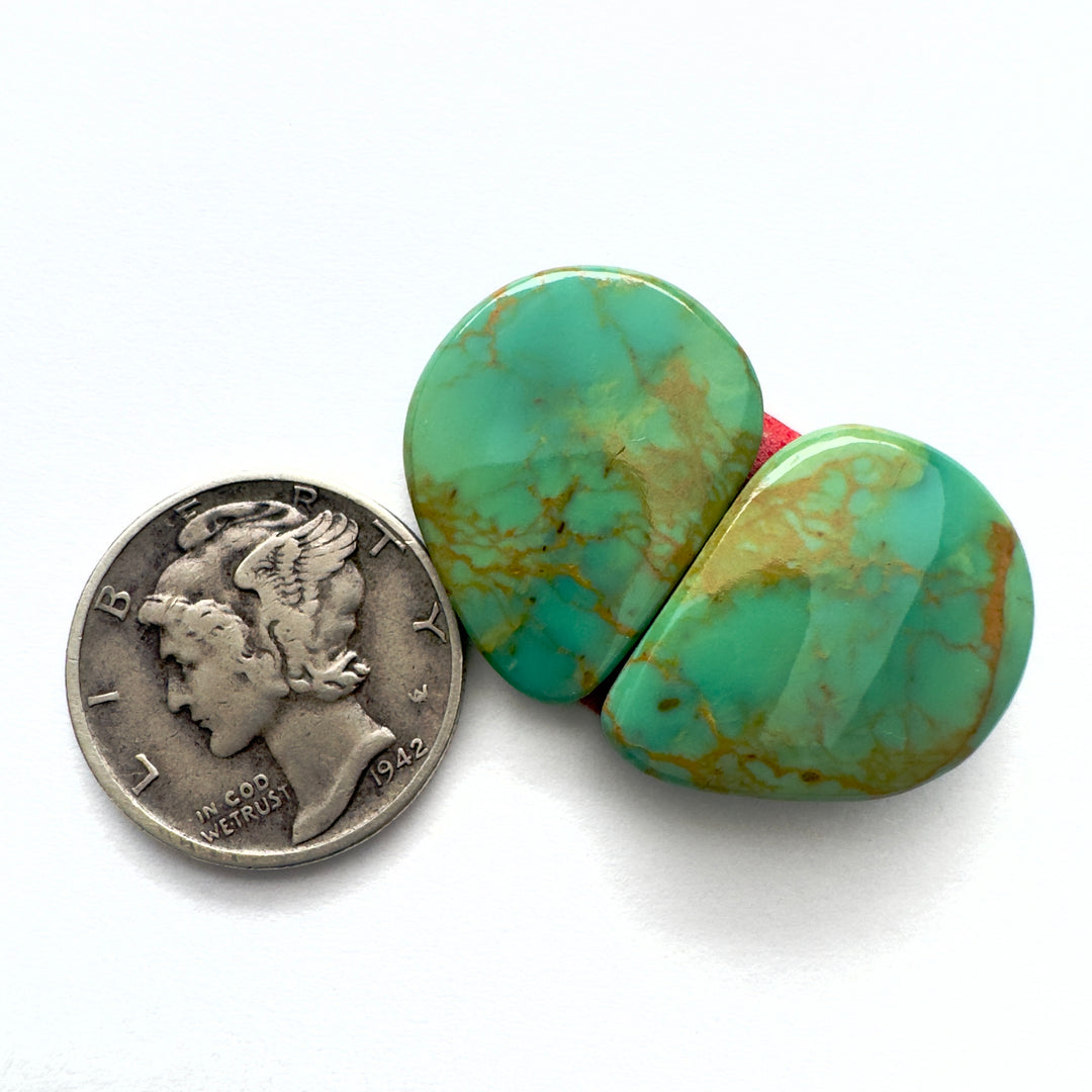 Turquoise mountain turquoise 19.8 carats