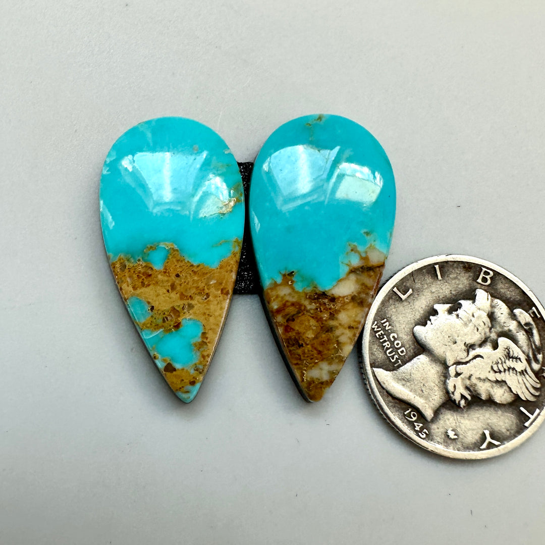 Turquoise Mountain Turquoise