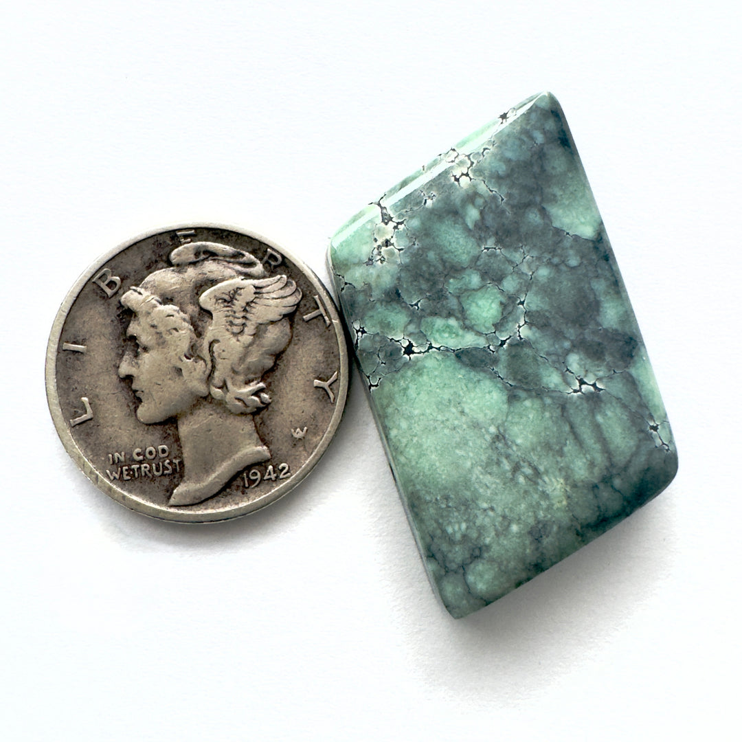 Black ridge variscite 19.3 carats