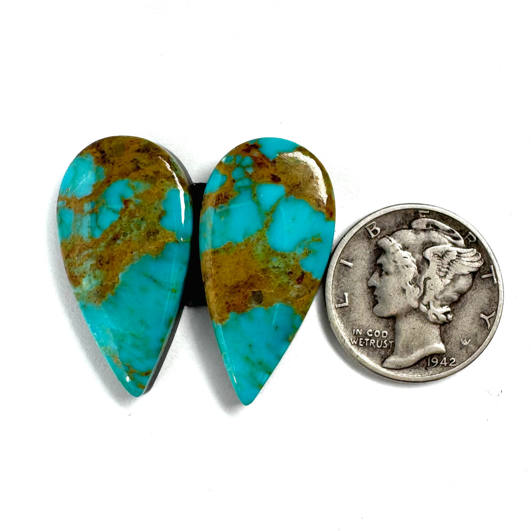 Turquoise Mountain Turquoise 24.75 carats