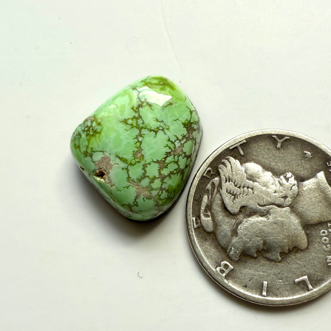 Natural Carico Lake Turquoise 8.6 carats