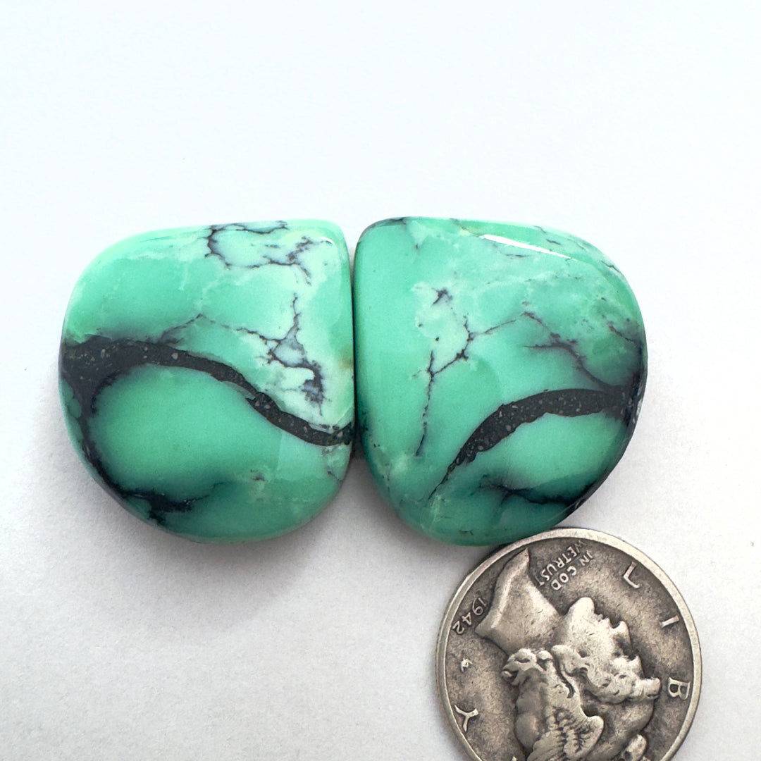 Black bridge variscite 44.7 carats