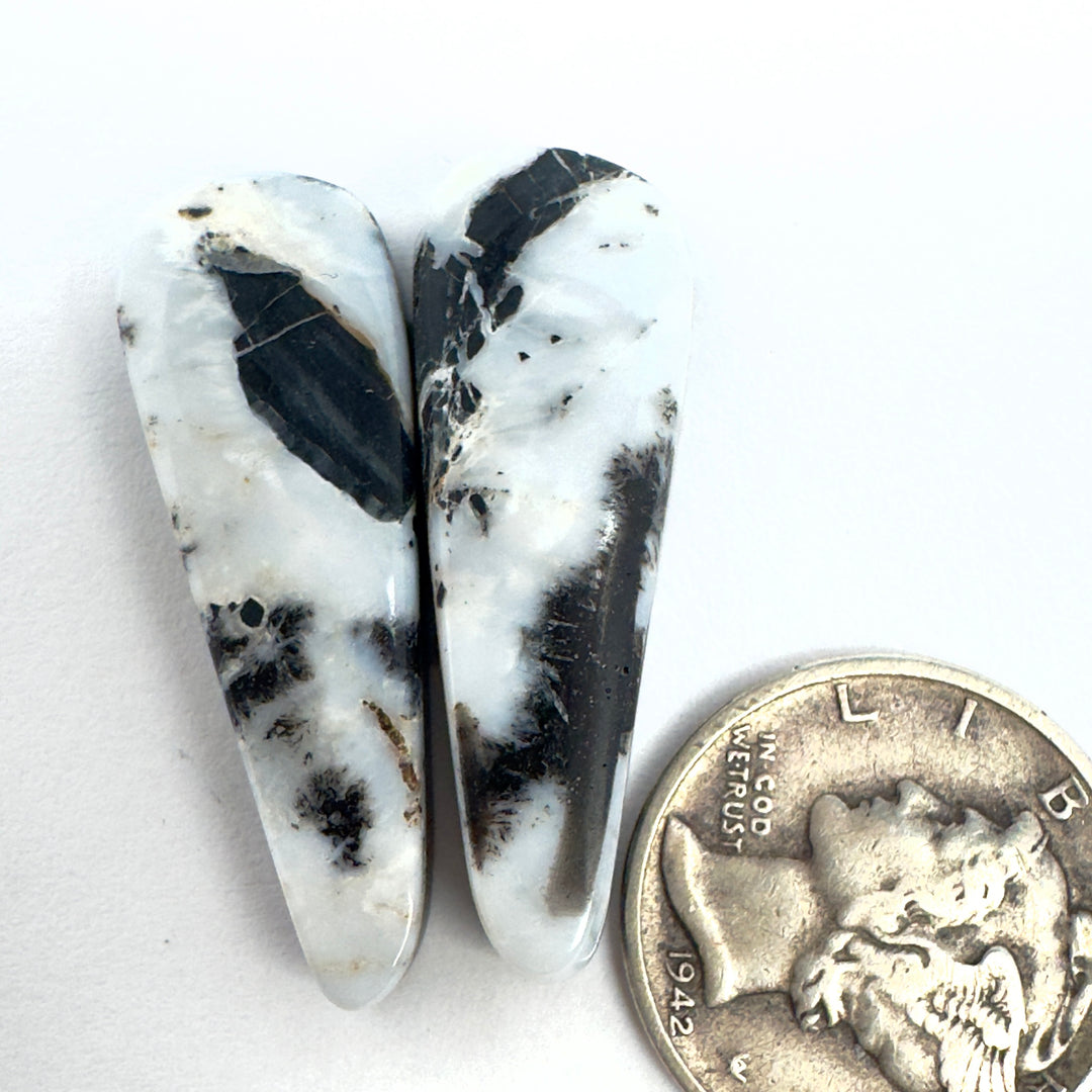 Natural White Buffalo 23.95 carats
