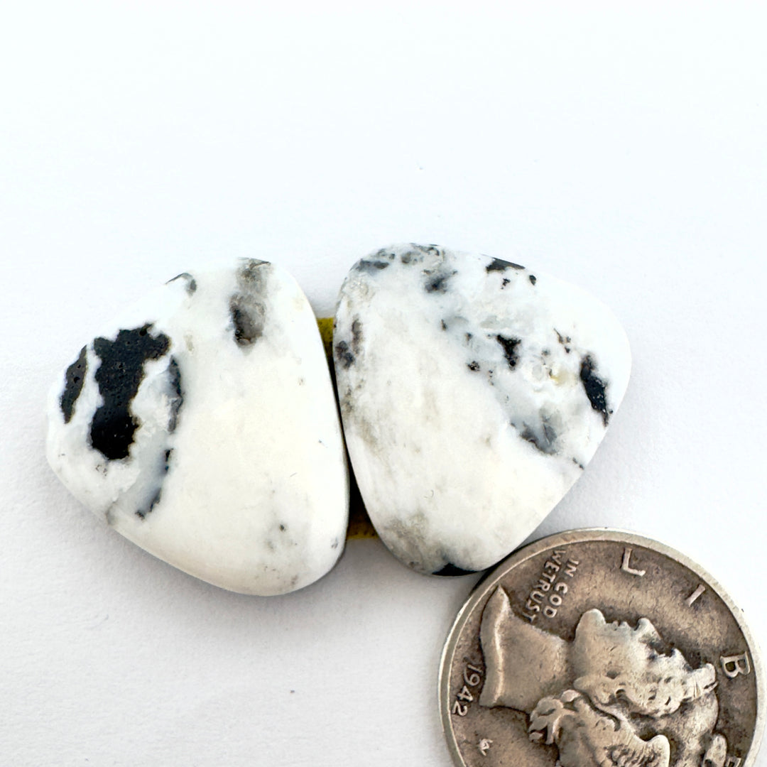 Natural White Buffalo 24.55 carats