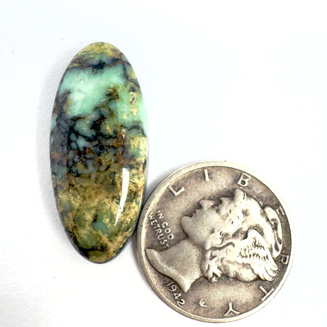 Natural New Lander Variscite cabochon 10.6 carats