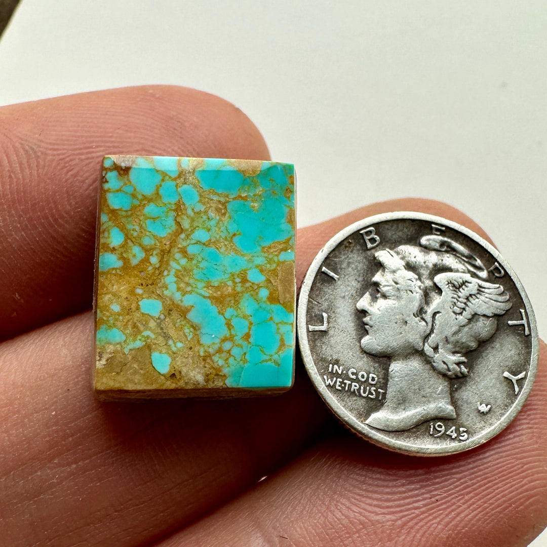 Kings Manassa Turquoise 12 carats