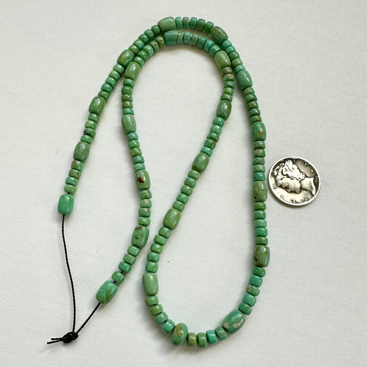 Fox Turquoise Bead Strand Stunning 18"