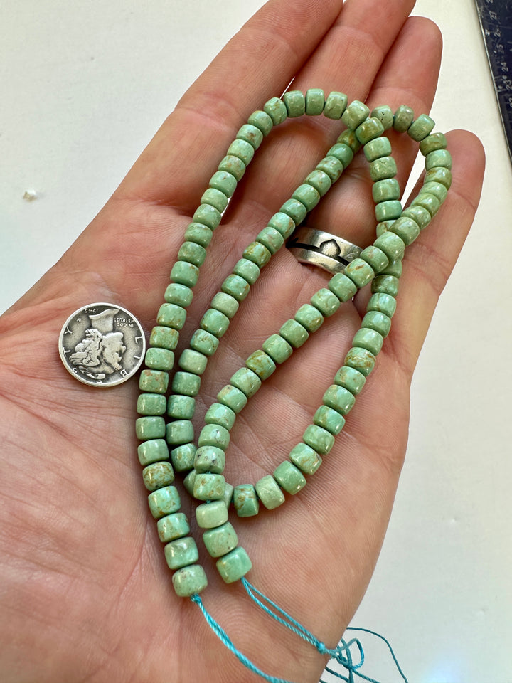 Natural Fox Turquoise Bead Strand