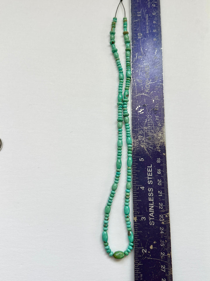 Campitos Turquoise Bead Strand 18"