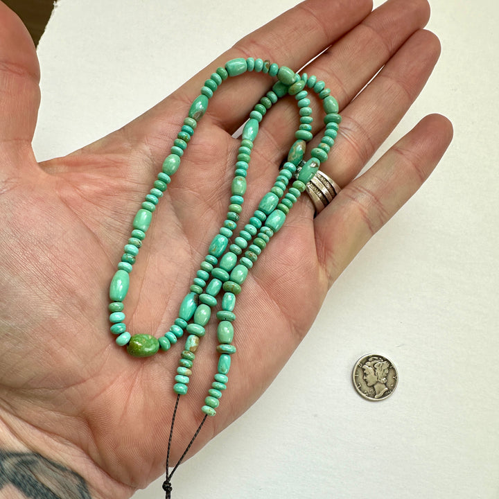 Campitos Turquoise Bead Strand 18"