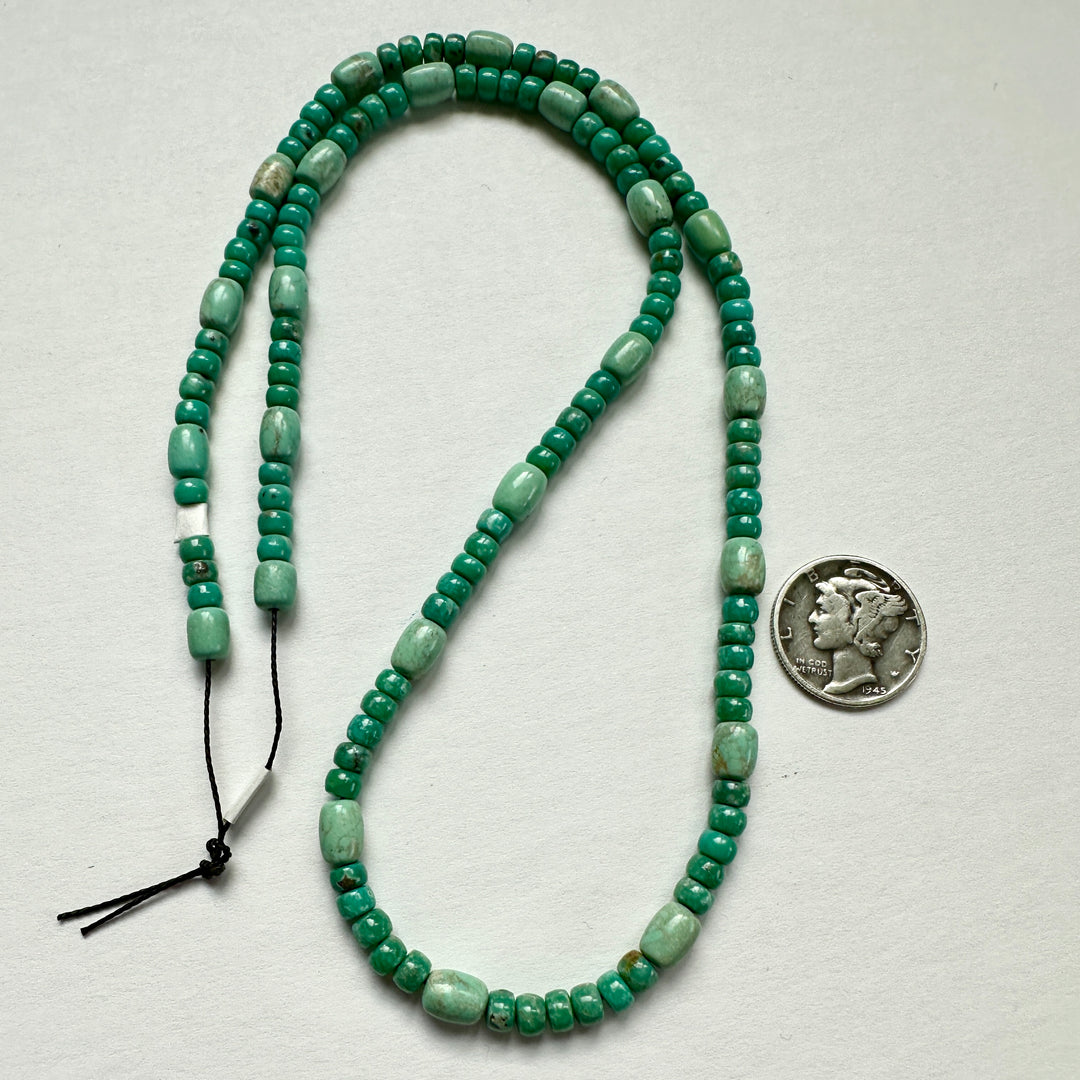 Fox Turquoise Bead Strand