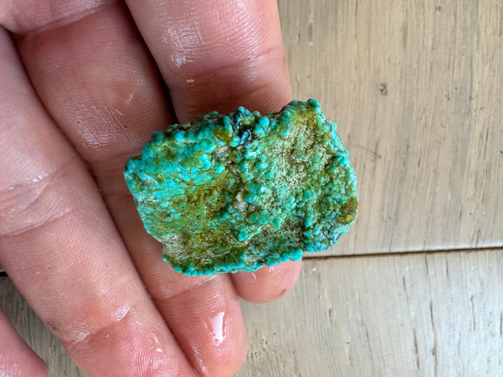 Turquoise Mountain Rough