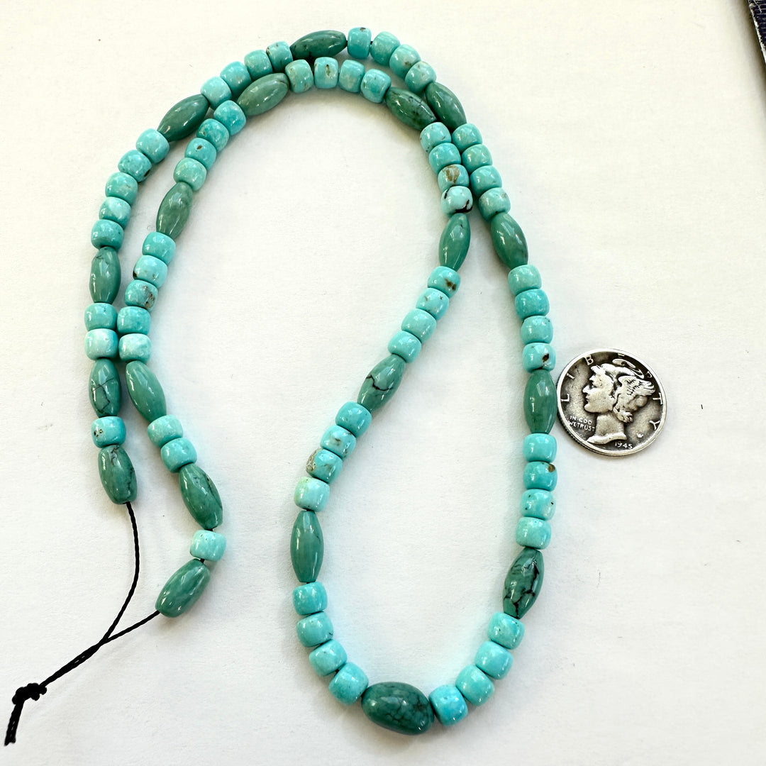 NaturalTurquoise Bead Strand