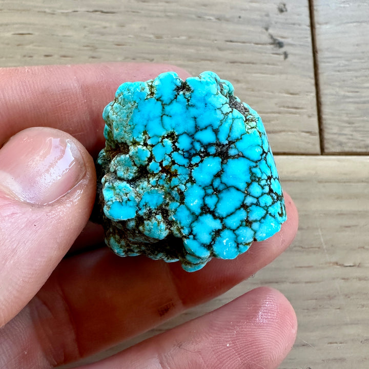 Turquoise Mountain Rough
