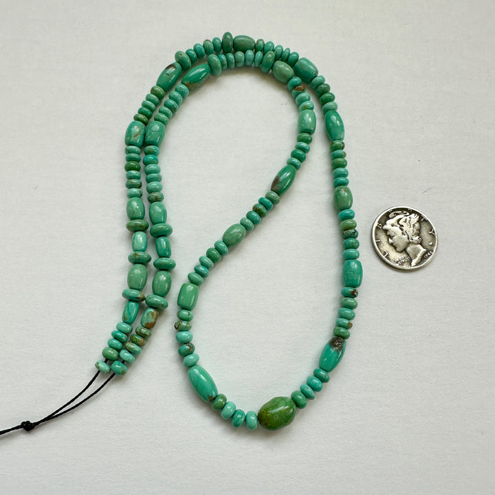 Campitos Turquoise Bead Strand 18"