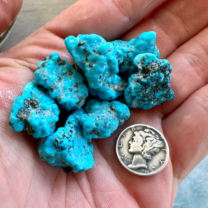 Bluebird Turquoise Rough 36 Grams