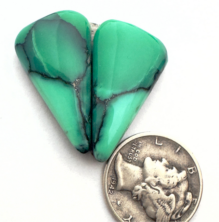 Black bridge variscite 25.95 carats