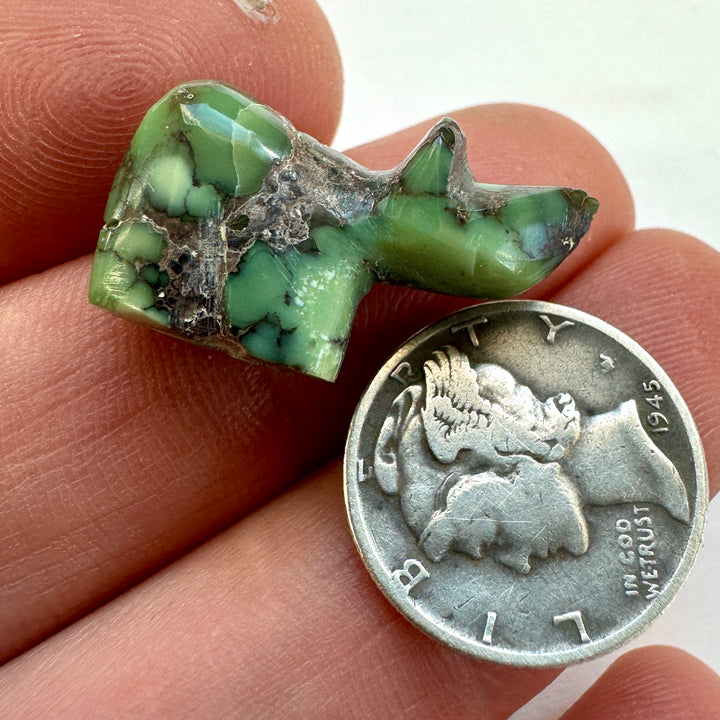 Natural Damele Turquoise Rhino Bead / Fetish