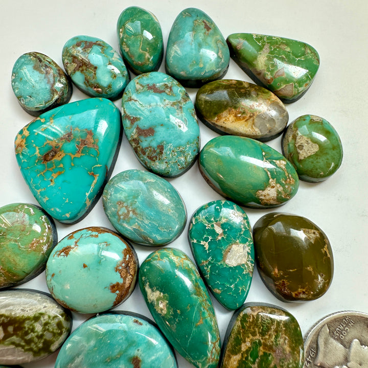 Natural Royston Turquoise Collection #3 * 171 Carats