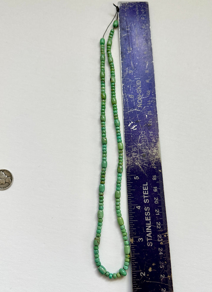 Fox Turquoise Bead Strand Stunning 18"