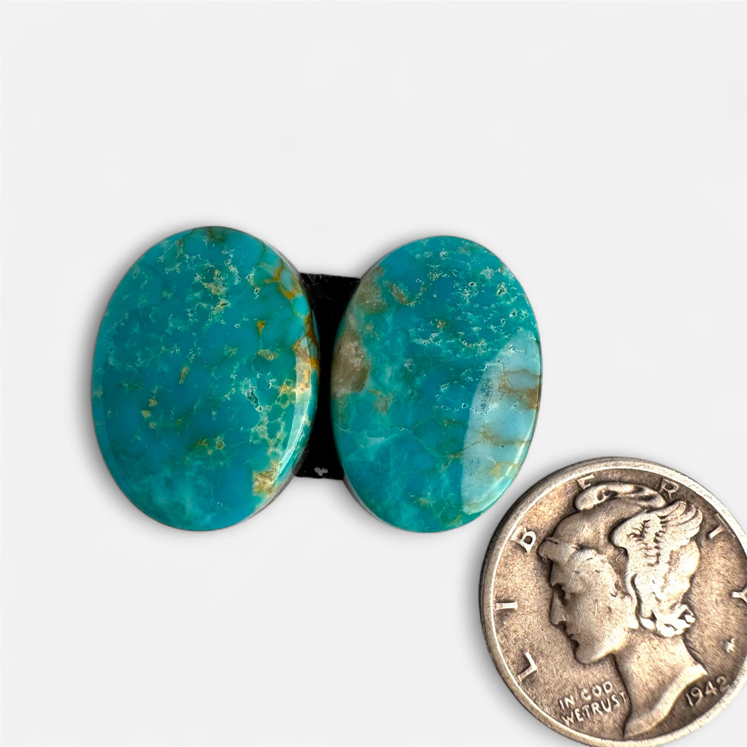 Turquoise Mountain turquoise 21.25 carats