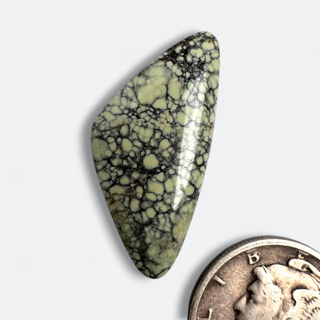 Natural Ivory Creek Variscite 12.45 carats