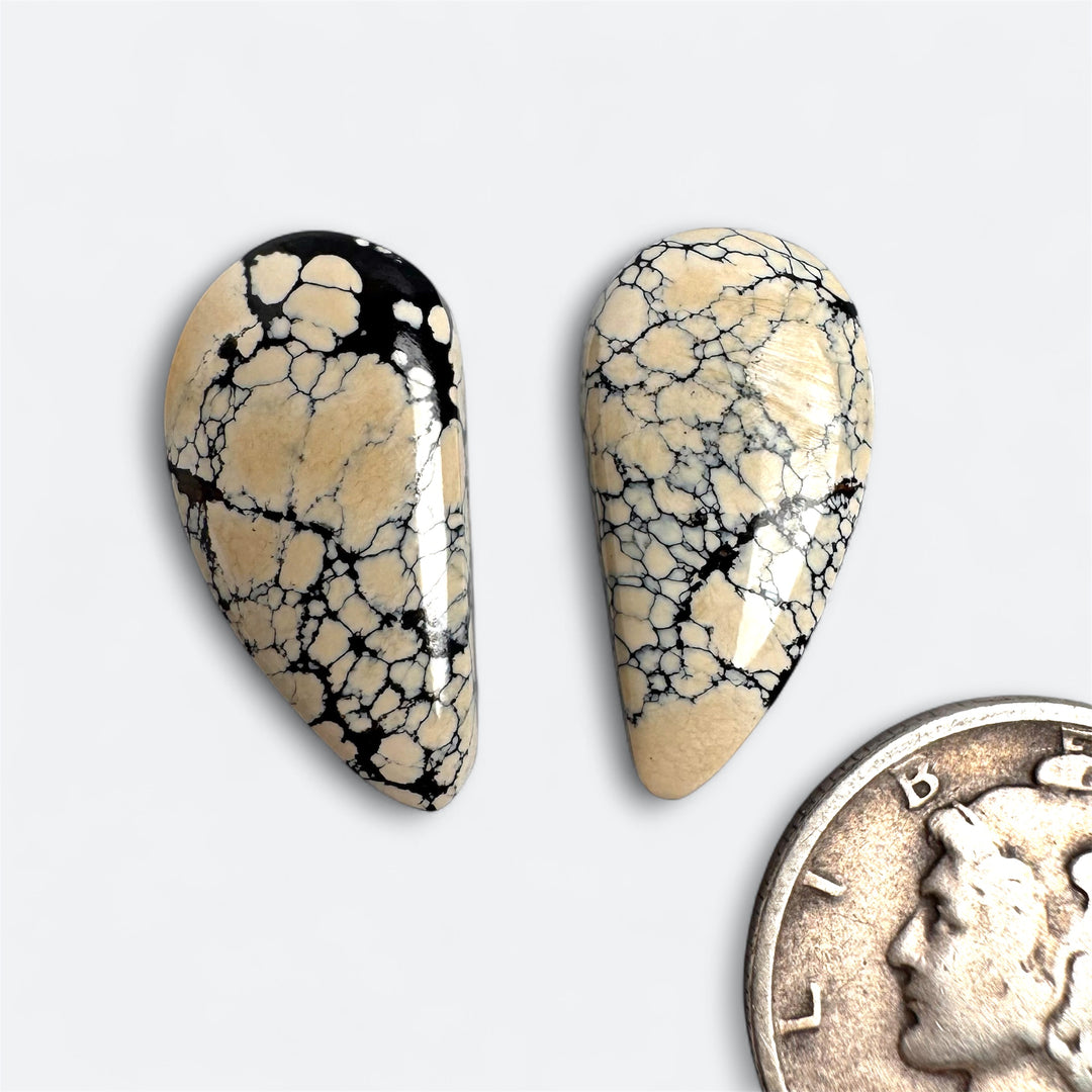 Natural Ivory Creek Variscite 9.05 carats