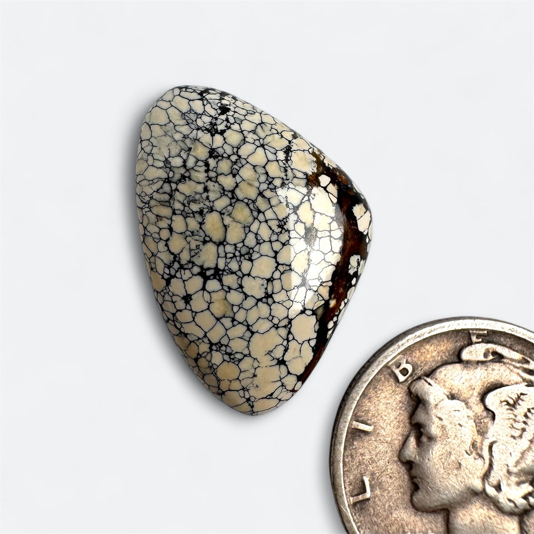 Natural Ivory Creek Variscite 11.55 carats