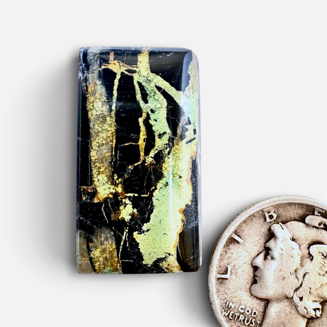 Natural Bamboo Mountain turquoise 19.30 carats 