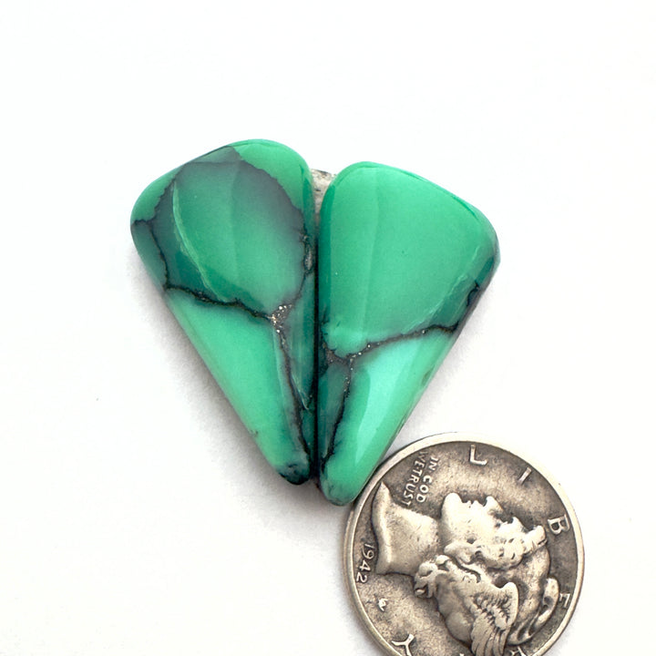 Black bridge variscite 25.95 carats