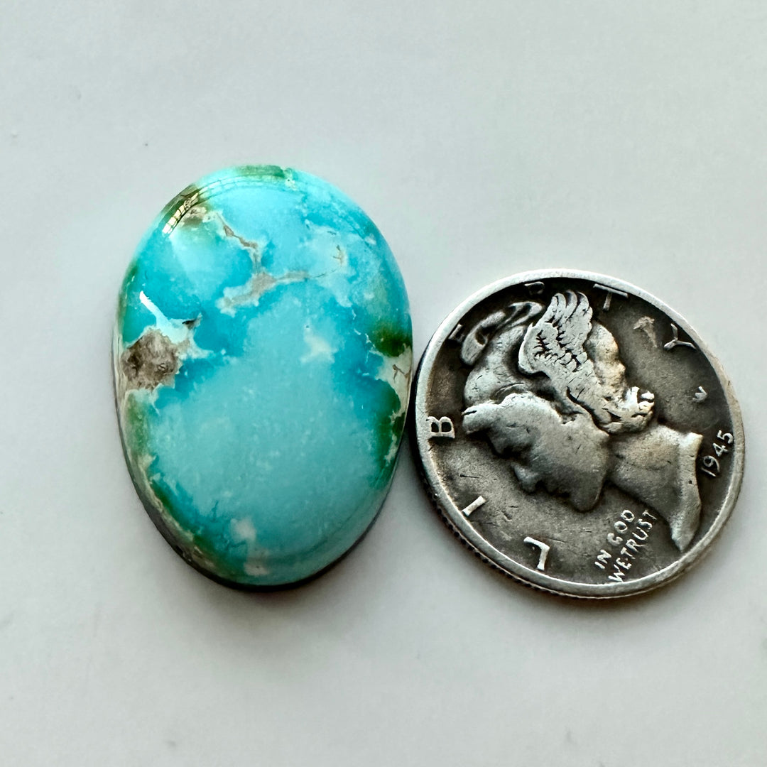 Sonoran Gold Turquoise