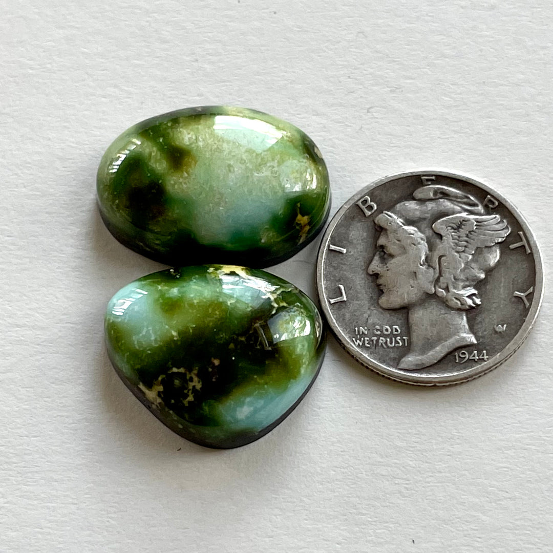 Sonoran Gold Turquoise