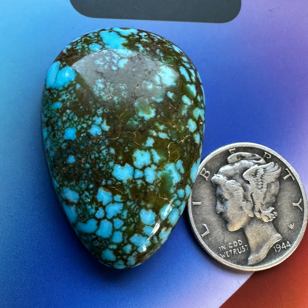 Turquoise Mountain Turquoise 43 Carats