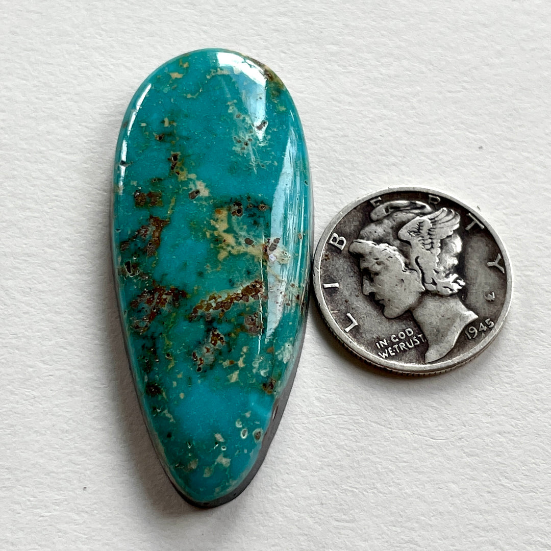 Natural Paiute Turquoise