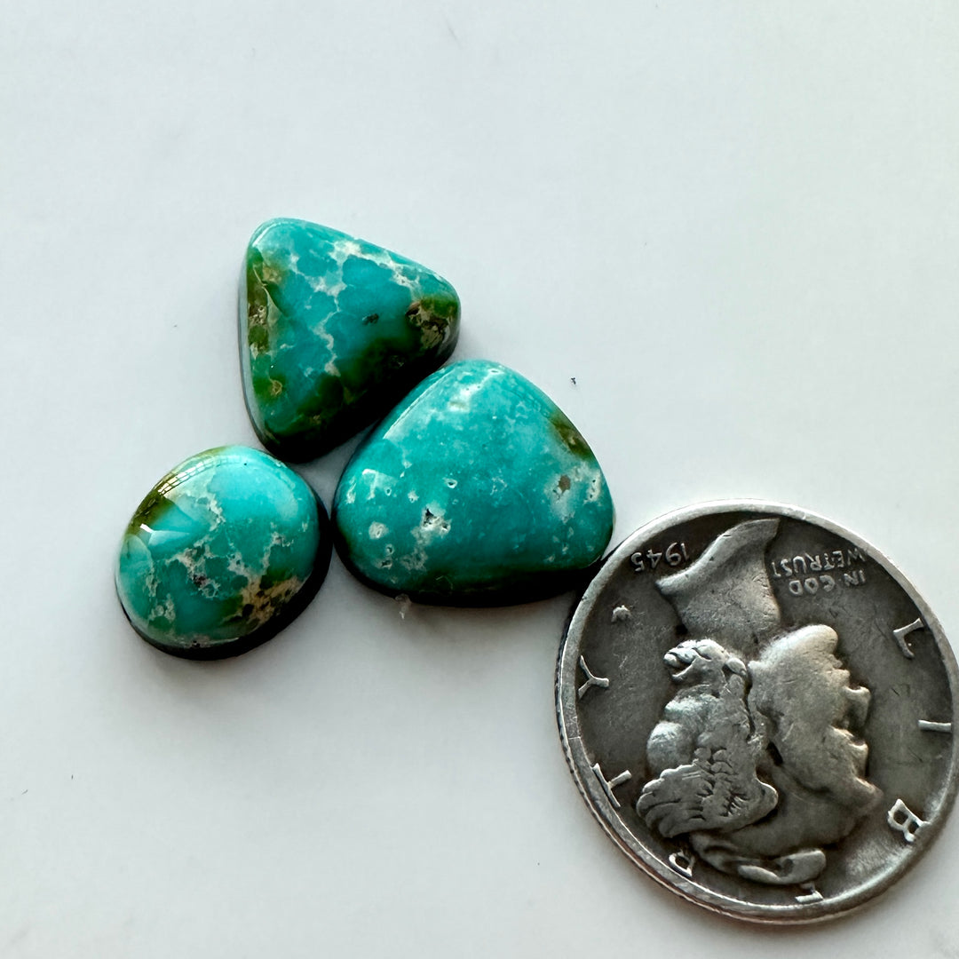 Sonoran Gold Turquoise