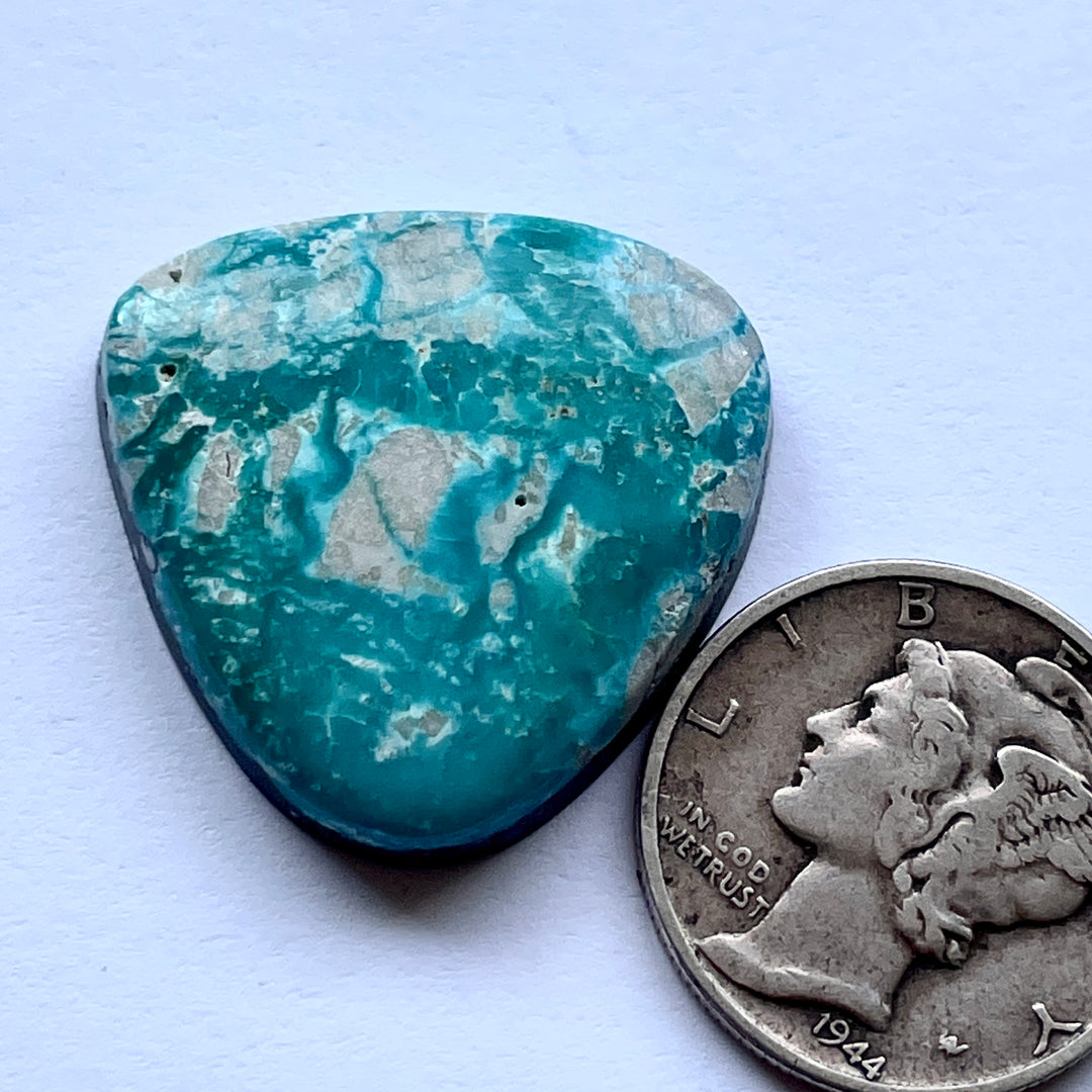 Natural Fox Turquoise