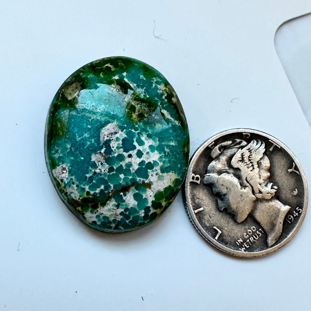 Sonoran Gold Turquoise 25 Carats