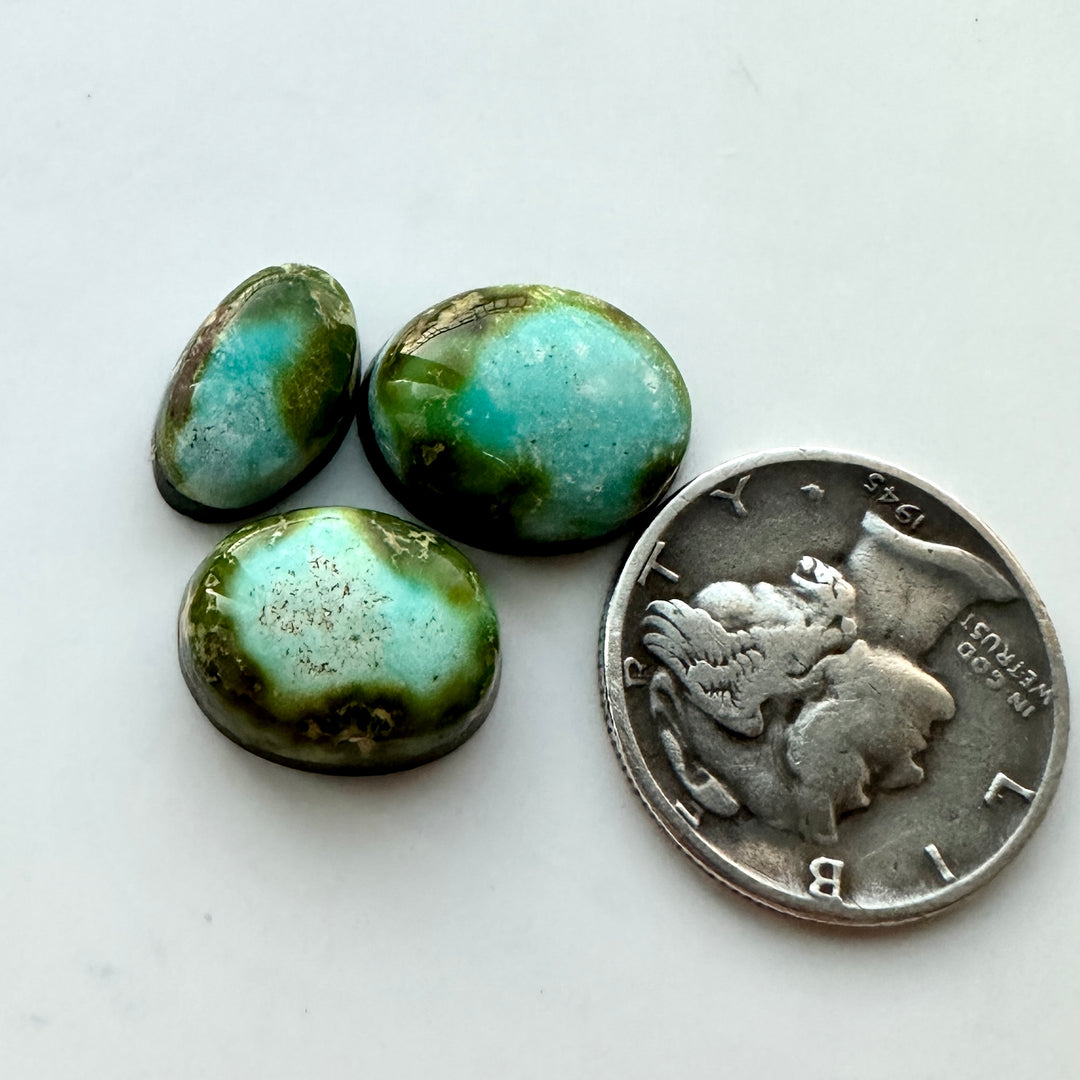 Sonoran Gold Turquoise